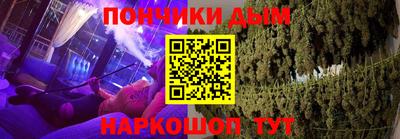 шишки Абакан