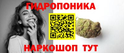 хмурый Абакан