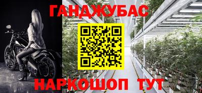 сатива Волгодонск