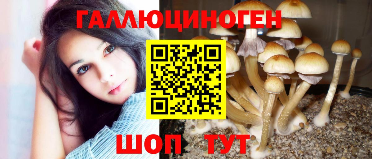 Псилоцибиновые грибы мицелий  Канаш 