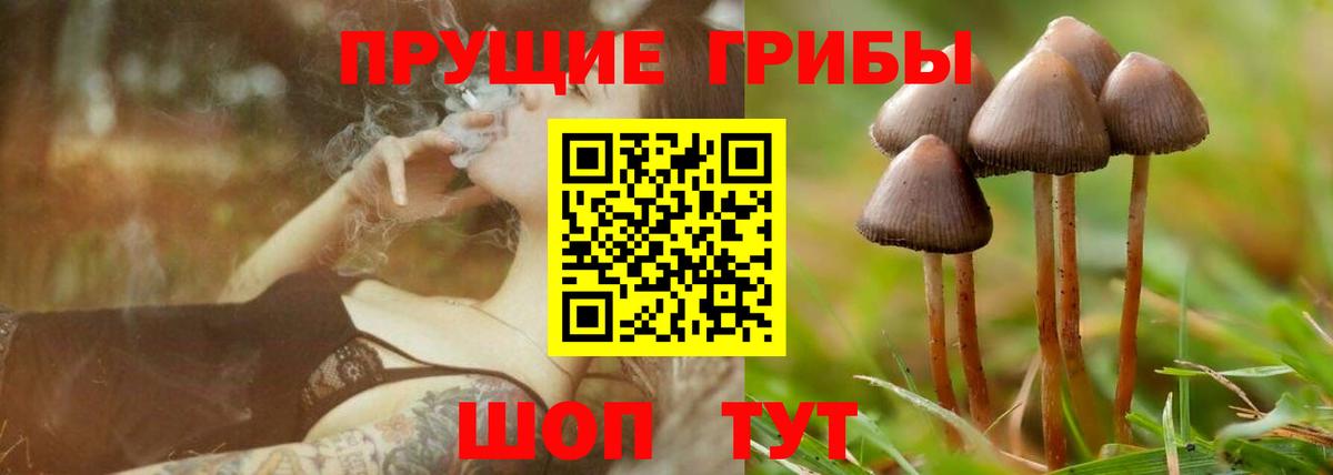 Галлюциногенные грибы MAGIC MUSHROOMS  Псилоцибиновые грибы Psilocybine cubensis  где купить наркотик  Вход с VPN  Канаш 