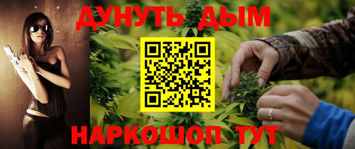 Каннабис гибрид  Каннабис марихуана  Канабис Amnesia  Канаш  Шишки марихуана сатива 